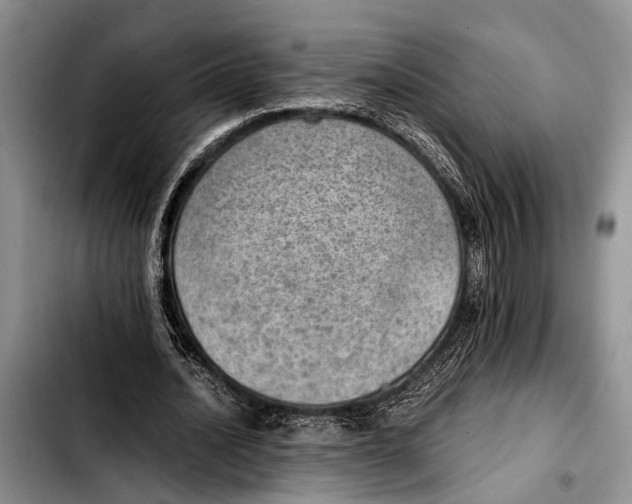 X0000103410628200810100957