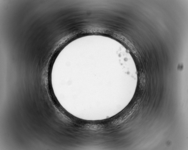 X0000103410629200810100957