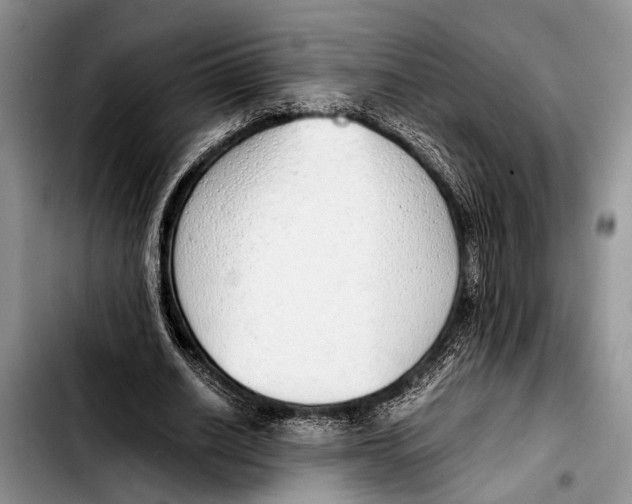 X0000103410630200810100957