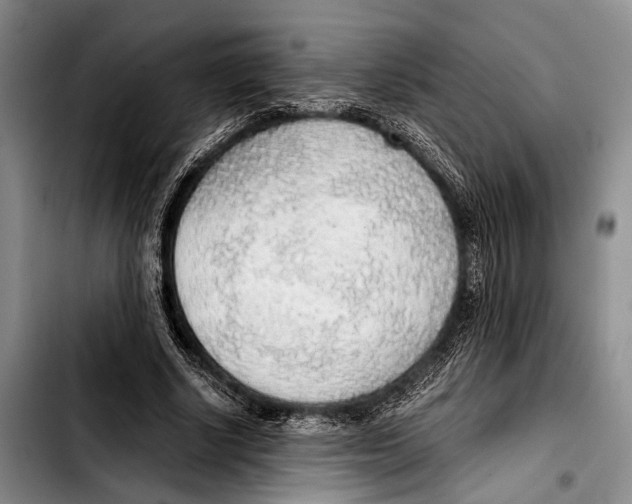 X0000103410634200810100957