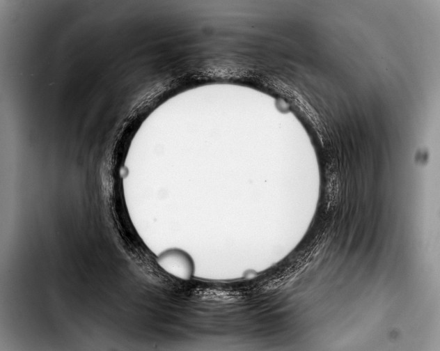 X0000103410635200810100957