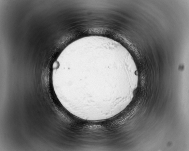 X0000103410637200810100957