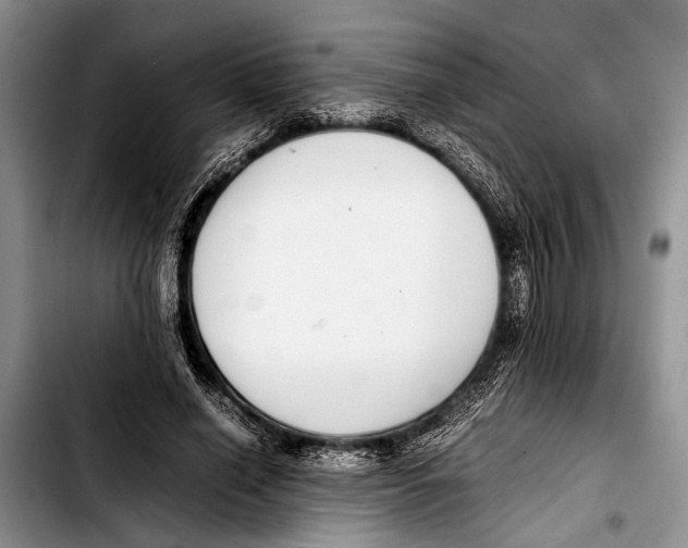 X0000103410638200810100957