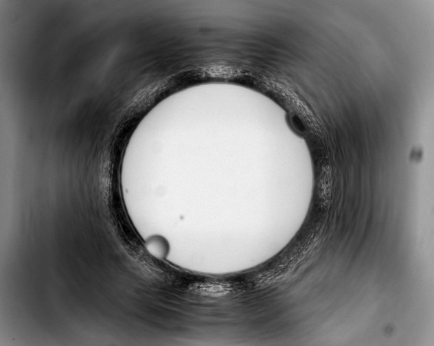 X0000103410639200810100957