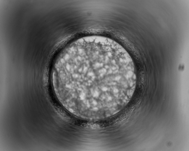 X0000103410640200810100957