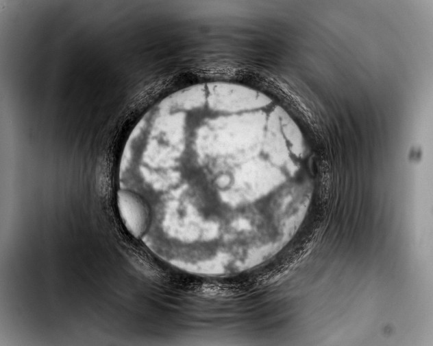 X0000103410641200810100957