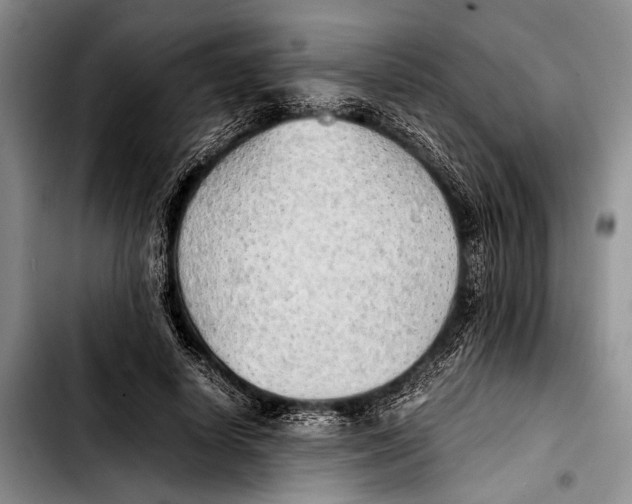 X0000103410642200810100957