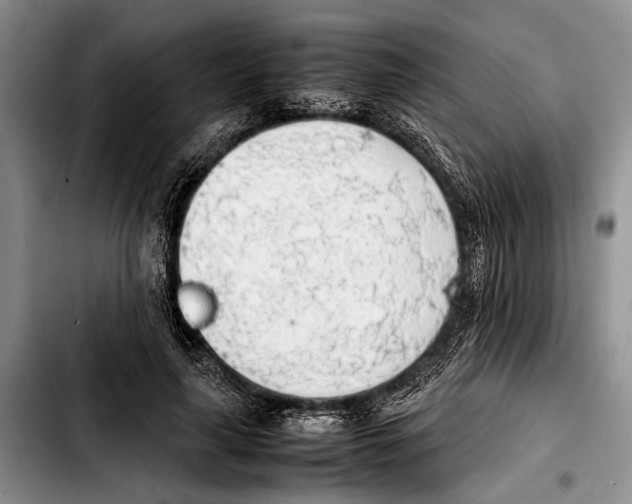 X0000103410643200810100957