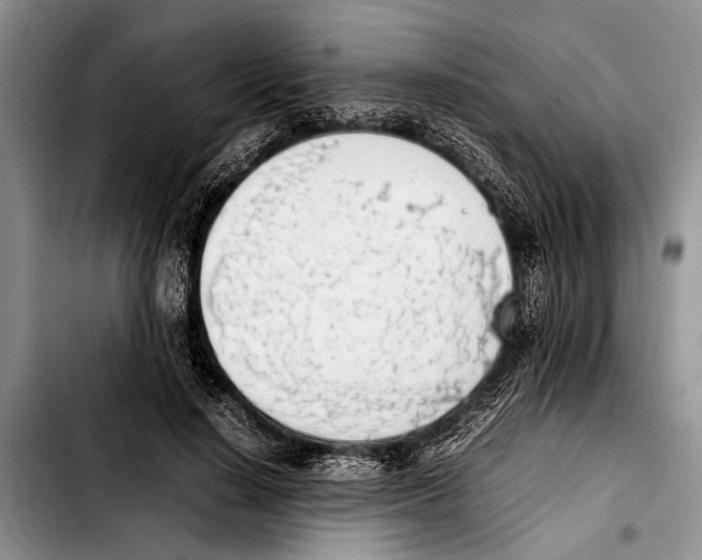 X0000103410644200810100957