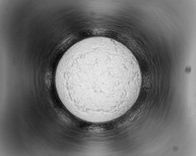 X0000103410648200810100957