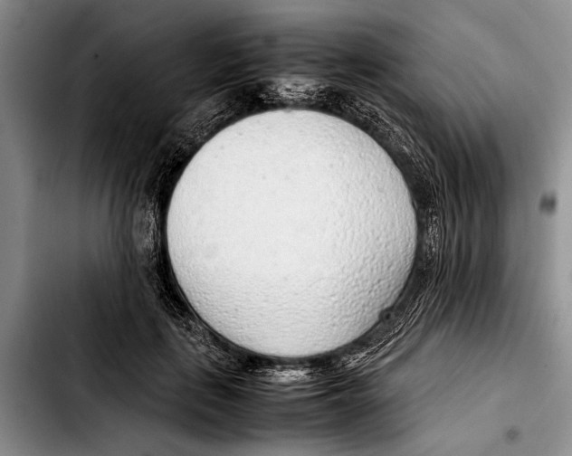 X0000103410651200810100957