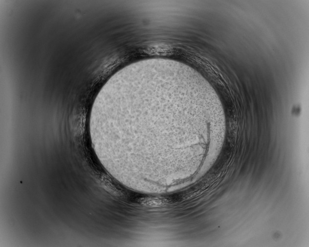 X0000103410652200810100957