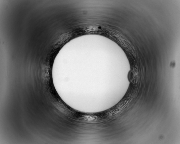 X0000103410654200810100957