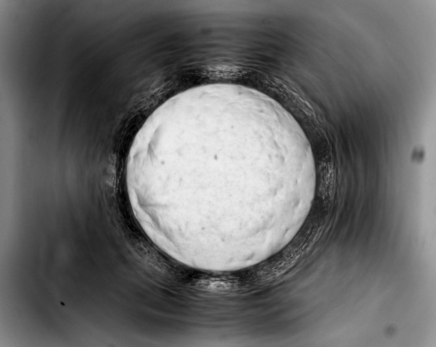 X0000103410655200810100957