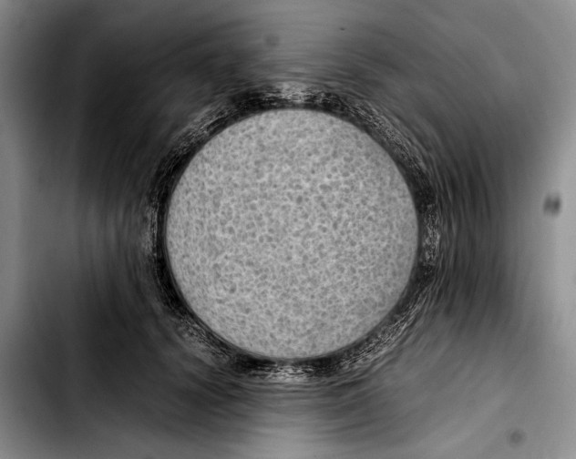 X0000103410656200810100957