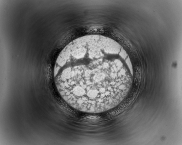 X0000103410659200810100957