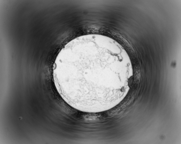 X0000103410661200810100958