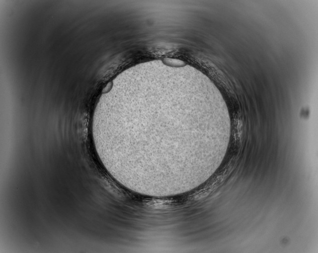 X0000103410664200810100958