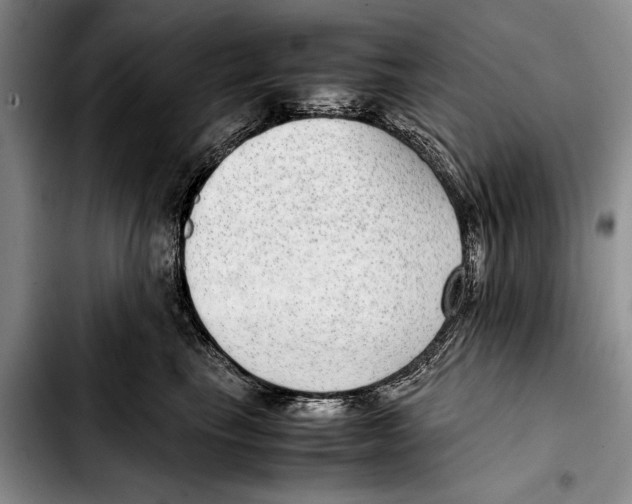 X0000103410665200810100958