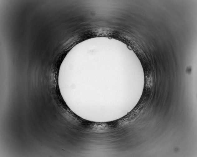 X0000103410666200810100958