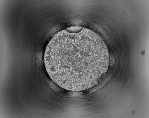 X0000103410670200810100958