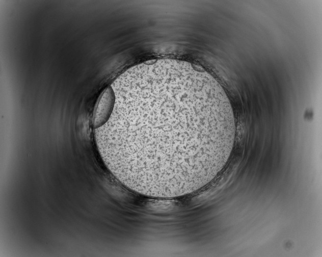 X0000103410671200810100958