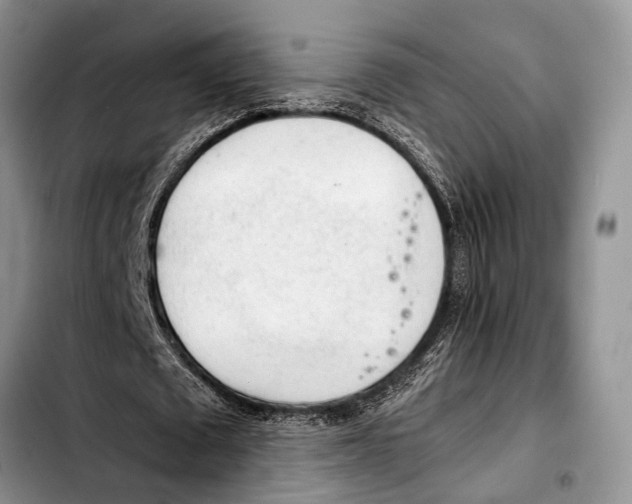 X0000103410673200810100957