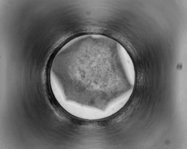 X0000103410674200810100957