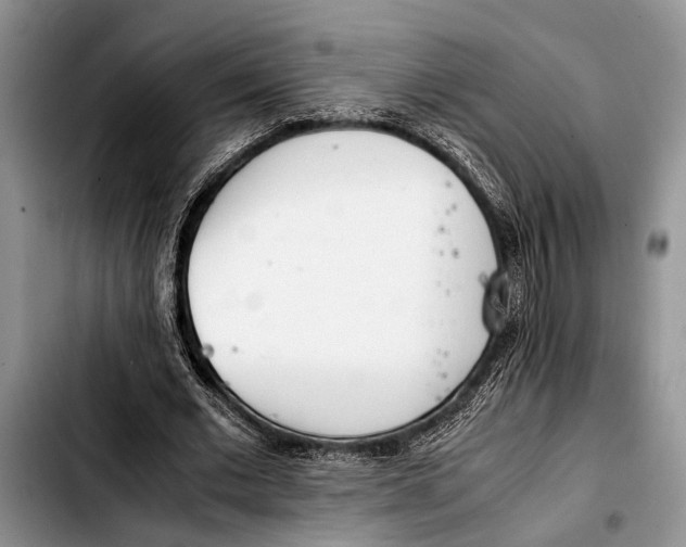 X0000103410677200810100957