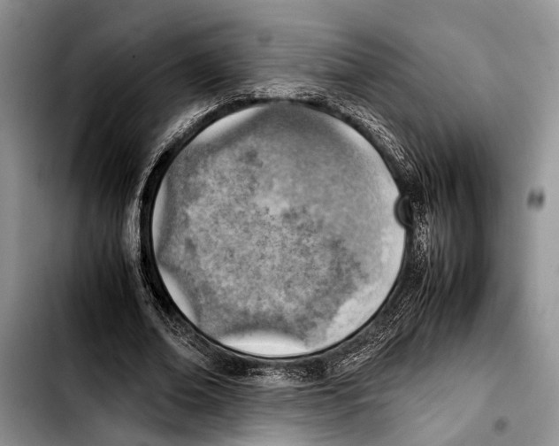 X0000103410678200810100957