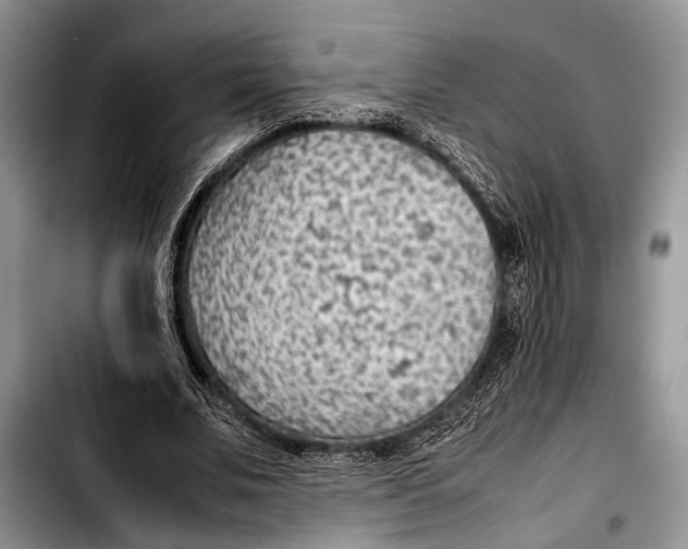 X0000103410679200810100957