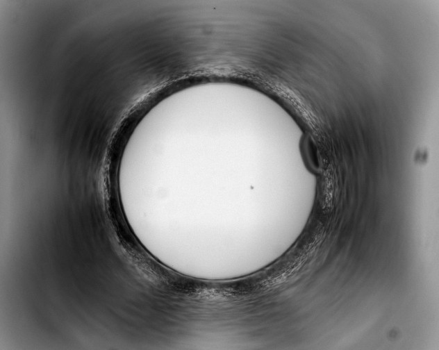 X0000103410680200810100957