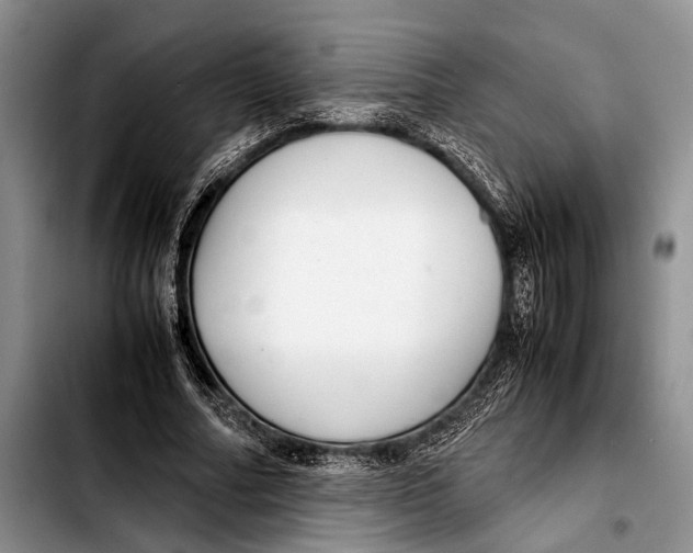 X0000103410682200810100957