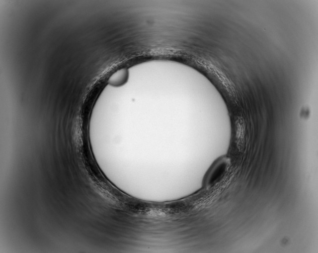 X0000103410684200810100957