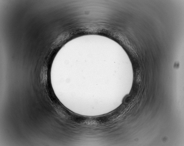 X0000103410685200810100957