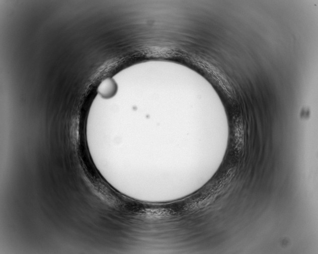 X0000103410686200810100957