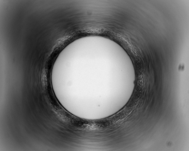 X0000103410688200810100957