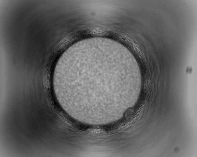 X0000103410689200810100957