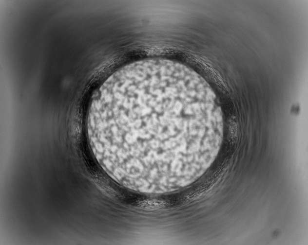 X0000103410691200810100957