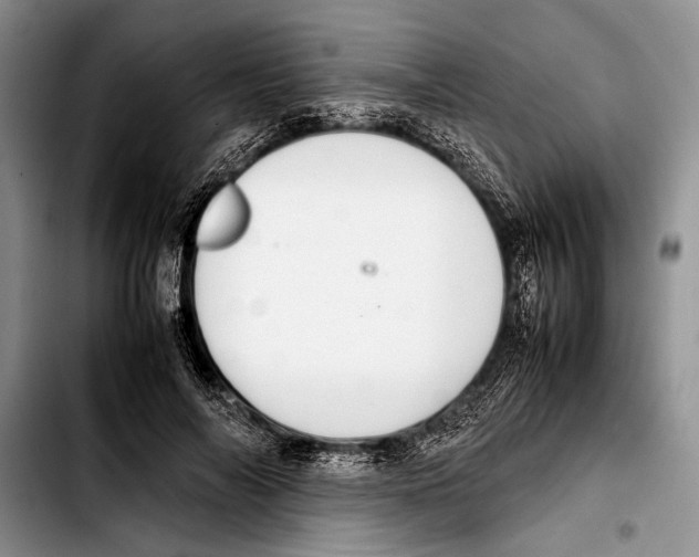 X0000103410694200810100957