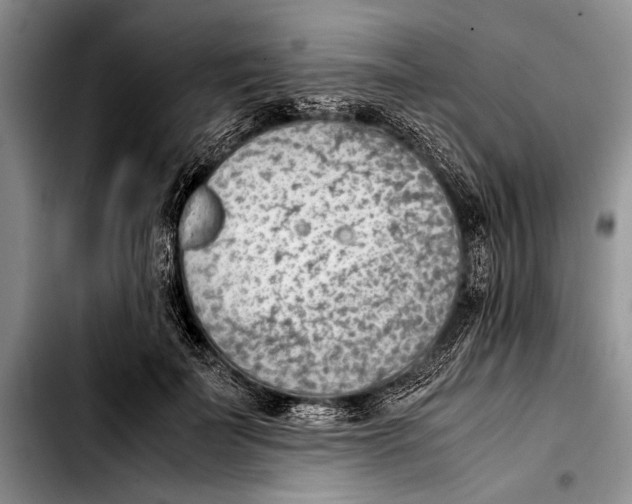 X0000103410699200810100956