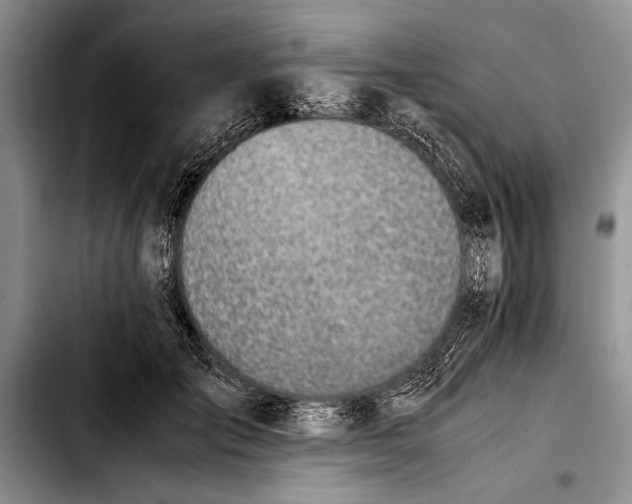 X0000103410701200810100956