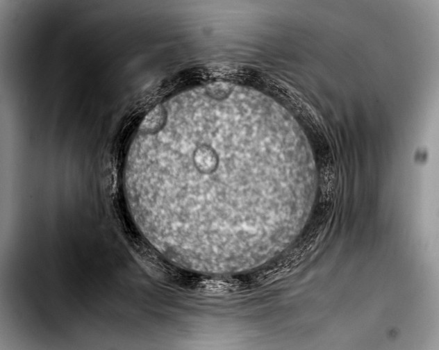 X0000103410703200810100956