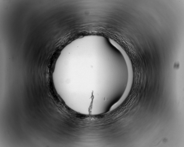 X0000103410704200810100956