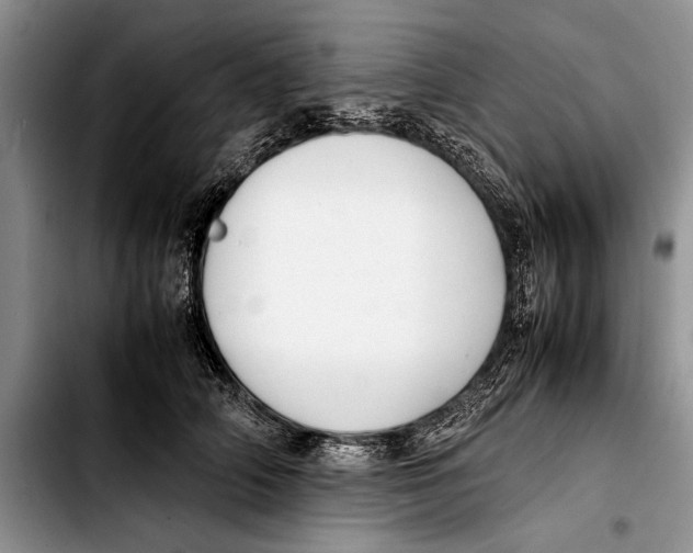 X0000103410706200810100956