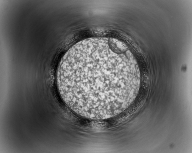 X0000103410707200810100956