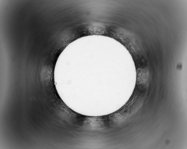 X0000103410713200810100956