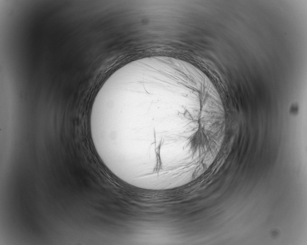 X0000103410717200810100956