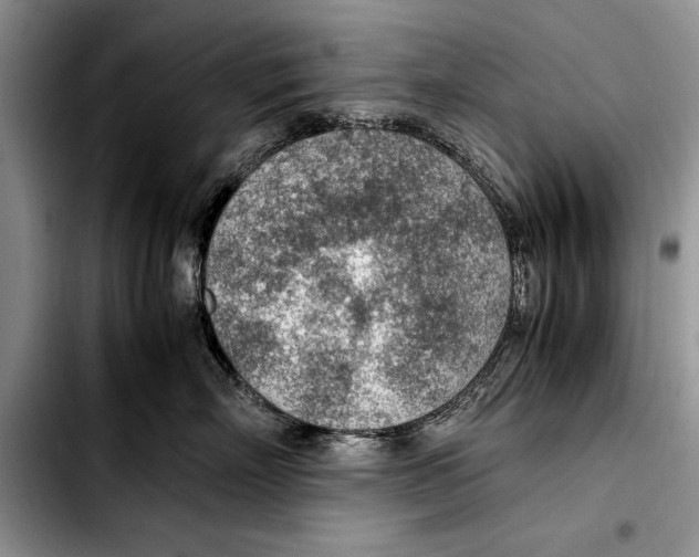 X0000103410718200810100956