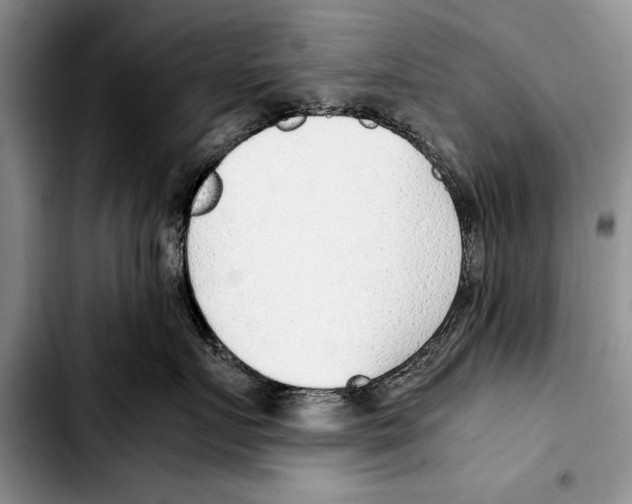 X0000103410719200810100956